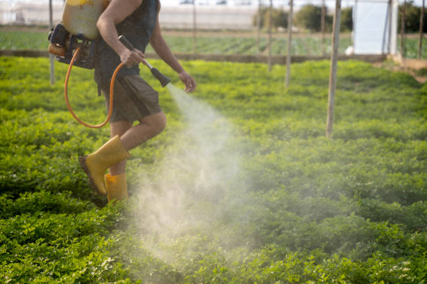 Professional Pest Control in Hawthorne, NY