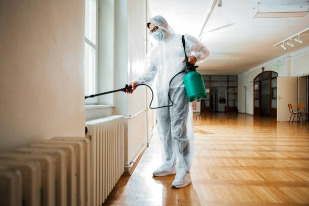 Best Local Pest Control Services  in Hawthorne, NY
