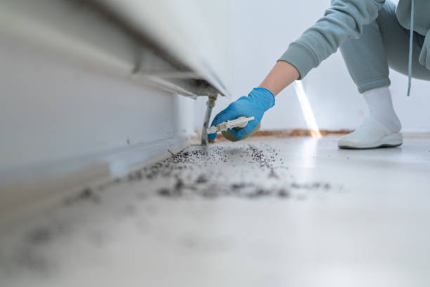 Best Ant Control Services  in Hawthorne, NY